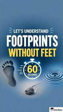 Footprints Without Feet || Class 10 || English (Footprints Without Feet)