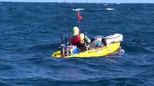 An impressive feat: releasing a black marlin from a kayak launched off the beach from Los Buzos in Panama. | Marlin Magazine