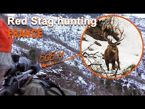 Red Stag Hunting in France // Chasse au Cerf en France // 2021