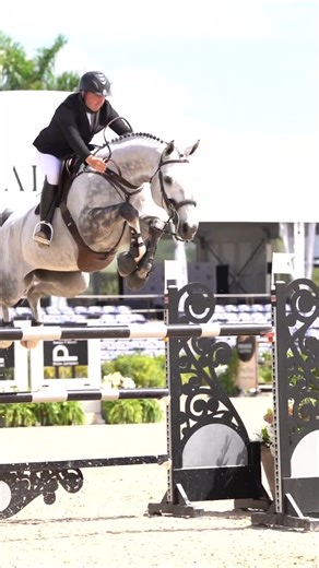 #wef #winterequestrianfestival #equestrian #showjumping #horses #horsesoftiktok #videography #equinephotography #hunterjumper #showjumper