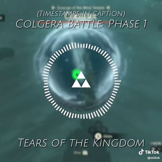 Colgera Battle Phase 1: Wind Temple | Tears of the Kingdom