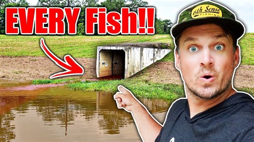 Texas floods drive every fish to heavy current spillways