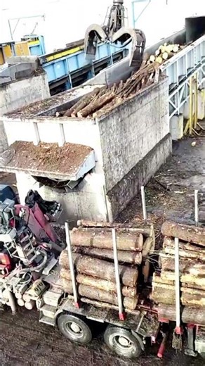 Mobile Log Loader #heavyequipment