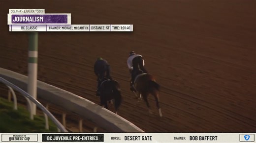 Journalism took to the Del Mar Racing track early this morning to prep for the Longines #BreedersCup Classic. | Breeders' Cup World Championships