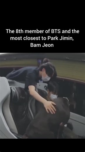 13K views · 980 reactions | Nag kiss pa tuloy si bambam Kay dada Jimin #fbreels #fyp #jikook #BTS | Jikook Page | Facebook