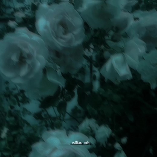 Hey Lover by The Daughters Of Eve