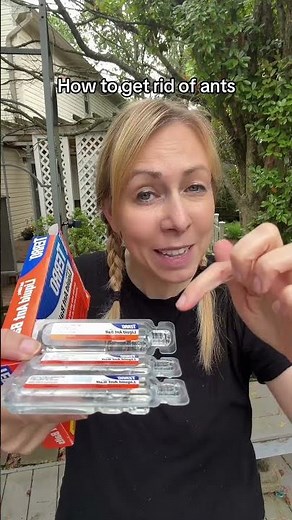 How to get rid of ants: if you have an ant infestation, use the TERRO ant bait stations to take care