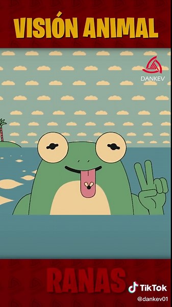 ¡Descubre cómo ven estos 4 animales!