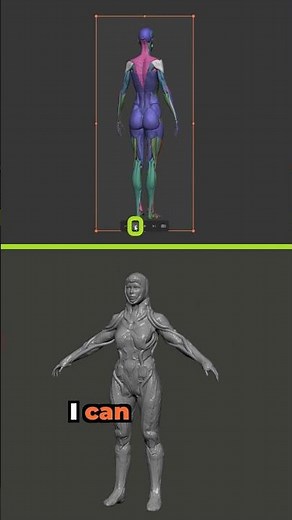 Animated GIF Turntable Reference