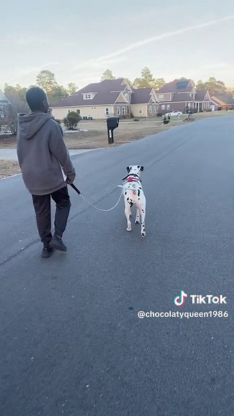 chocolatyqueen1986 on TikTok