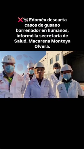 ❌🐄 Edoméx descarta casos de gusano barrenador en humanos, informó la secretaria de Salud, Macarena Montoya Olvera. 🔍🏭 Reforzaron las supervisiones en rastros como medida preventiva tras detectar el primer caso en ganado. ✅🥩 Pidieron mantener medidas preventivas y consumir carne bien cocida. | DigitalMex