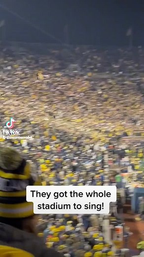 Crowd Cheers at Michigan Stadium: A Unifying Experience