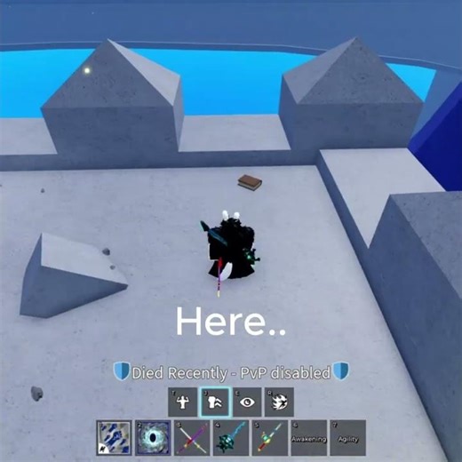 Secret Book? #bloxfruits #roblox #algorithm #gaming #satisfying