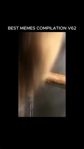 BEST MEMES COMPILATION V62