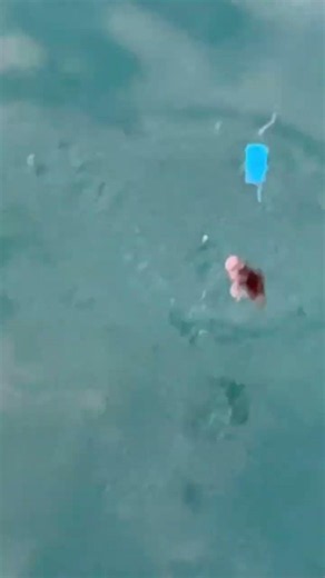 For bottom-dwelling fish, a sabiki rig with an added cage and a single baited hook is extremely e...