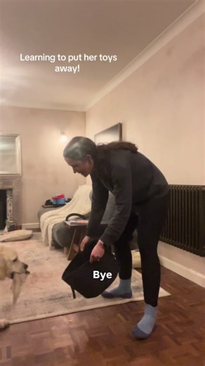 Mondays we try to get to Dog Club (an inclusive space for 11-18 year olds with their pups run by our trainer @solidarity_dogs)... tonight we joined virtually. We had a lot of fun teaching Jozi to put her toys away - she did great despite Bodhi turning the lights on and off 🤦‍♀️😂 We filmed this after without the wild kids as an extra distraction! A helpful assistance dog skill and she did great with her first lesson on it! #goldenretrieverlife #assistancedoguk #assistancedogintraining #senmum #