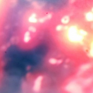 11K views · 766 reactions | 朗1 week to go! 朗 Pre-orders available on www.deadbyapril.com #deadbyapril #memory | Dead by April | Facebook