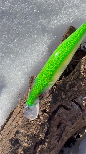 7 limited run 🔥🔥 colorways from megabassamerica. Available now at TTO in the two best jerkbait configurations of all time- the 110 & 110 1 ⚔️ | Tulsa Tackle & Outdoors