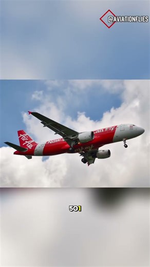 Flash Airlines Flight 604 Plane Crash Explained in 30 Seconds | Aviation Breakdown ✈️🔥#planecrash