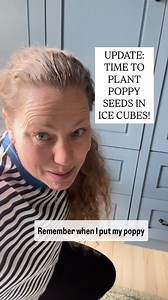 29K views · 411 reactions | Just dropped some very special frozen...