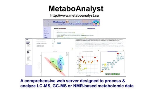 Lecture 12- Using MetaboAnalyst Part 1