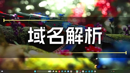 个人网站服务器建立教程-樱花映射-pythonFlask-3-域名解析