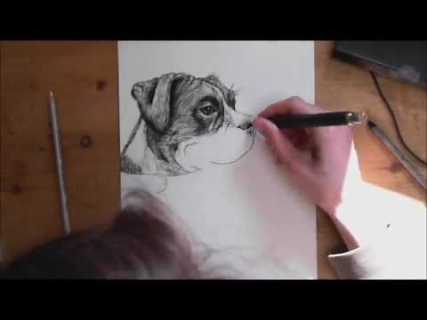 How to Draw a Realistic Dog Step by Step