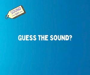 Having a 'whale' of a time! 🎶🐋 Just check out these underwater convos 😮 Whales are very social creatures that travel in groups called "pods", and use a variety of noises to communicate and socialise with each other 🙌 The three main types of sounds made by whales are clicks, whistles, and pulsed calls 👇 🐋 Clicks are believed to help whales with navigation and identifying physical surrounds and can also help to differentiate between friend and foe! 🐋 Whistles and pulsed calls are used durin