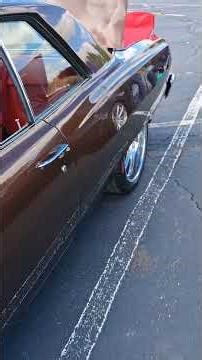 65 Chevelle..aka Lil Bit of custom magic