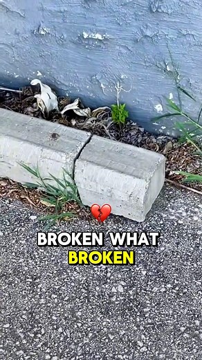 I’ve never found one hidden quite like this before! 🤯 #geocaching #geocache #hiddeninplainsight | The Geocaching Vlogger