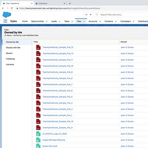 Download all files from your Salesforce environment! — 21 Knots