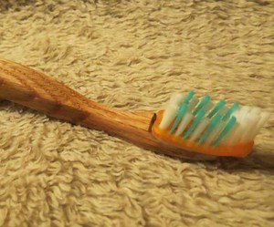 DIY Wooden Toothbrush