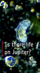80K views · 157 reactions | How do you imagine life around Jupiter?...