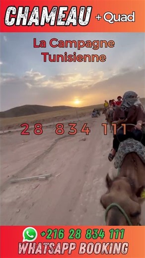 Excursion Demi-Journée en Quad & Balade à dos de Chameau au coucher du soleil 🐪🏍️