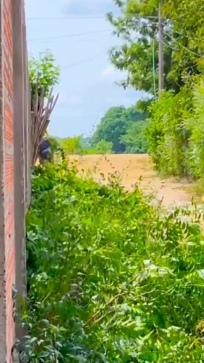 1.5M views · 26K reactions | La holla, parte 2 | Will Padilla | Facebook