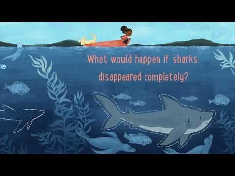 If Sharks Disappeared by Lily Williams