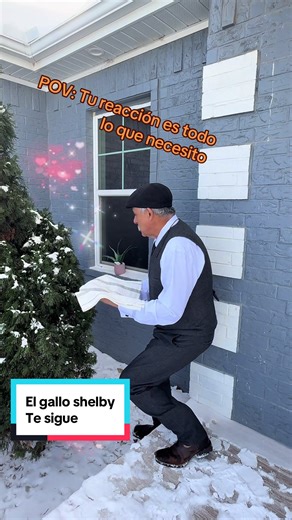 Un poco de humor recordando el truco de la toalla, mi hija salió mucho antes, jajajaja el gallo Shelby te sigue #peackyblinders #parati #LIVEIncentiveProgram #GenuineInteractionMatters #PaidPartnership