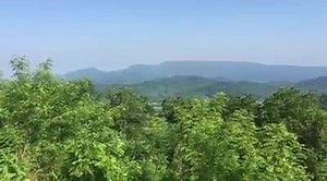 8.4K views · 623 reactions | Live from the Foothills Parkway on the way to Visit Gatlinburg | Smoky Mountain Living Magazine | Facebook