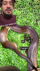 Snakes poop…we all knew that….RIGHT?? 😳🐍💩 #PatGeo | Patrick Cloud