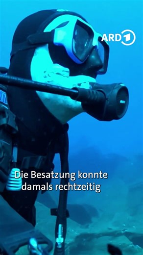 🤿⚓Tauchgang in der Adria zu einem Wrack vor der Insel Vis in Kroatien 🇭🇷🌊