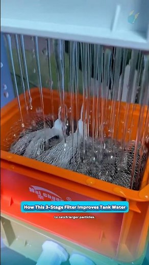 How This 3-Stage Filter Improves Tank Water