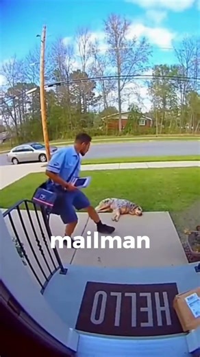 Mail Time Turned Into a Miracle 🐶📬