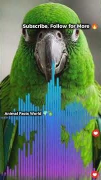 🦜 Why Can Parrots Mimic Human Voices? The Amazing Science Explained!