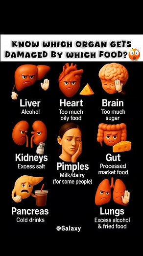 "Foods That Damage Your Organs"😳
