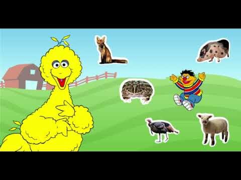 Journey To Ernie Clue Hunt Gameplay
