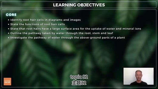 【中英字幕】IGCSE 生物 Biology - Water uptake (8.2)
