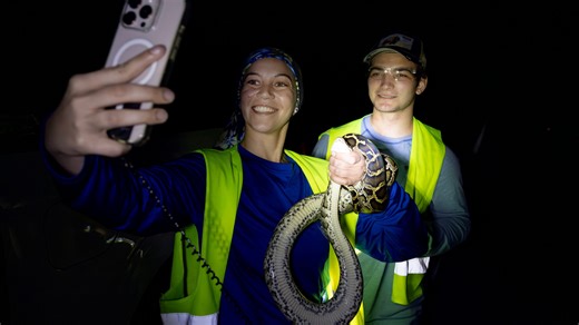 The lighter side of annual Florida Python Challenge: hunter takes selfie with giant snake