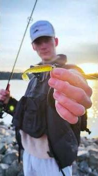 Zander fishing on the Rhine... that's NOT how I imagined it 😅🎣 #fishing #zander #softplasticlure
