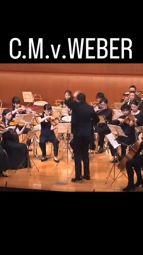 1.3K views · 114 reactions | Carl Maria von Weber – Concertino for...