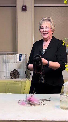 TikTok - Make Your Day